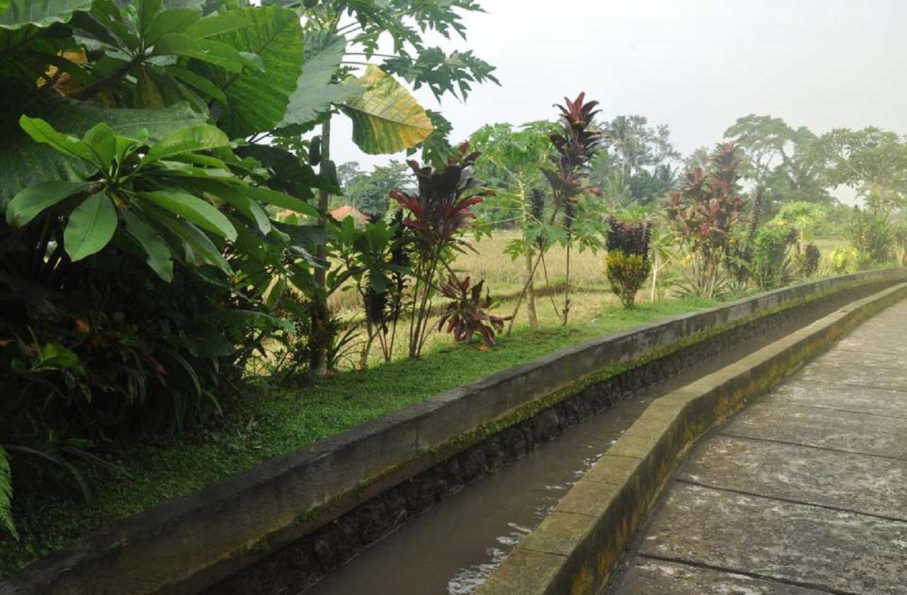 Candra Asri Bungalow Убуд Экстерьер фото